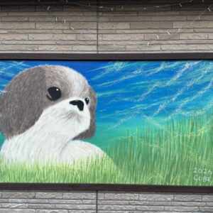 居酒屋やや – CUBE