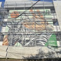 保護中: ハニーヒルズ1号棟 – Madblast Hiro